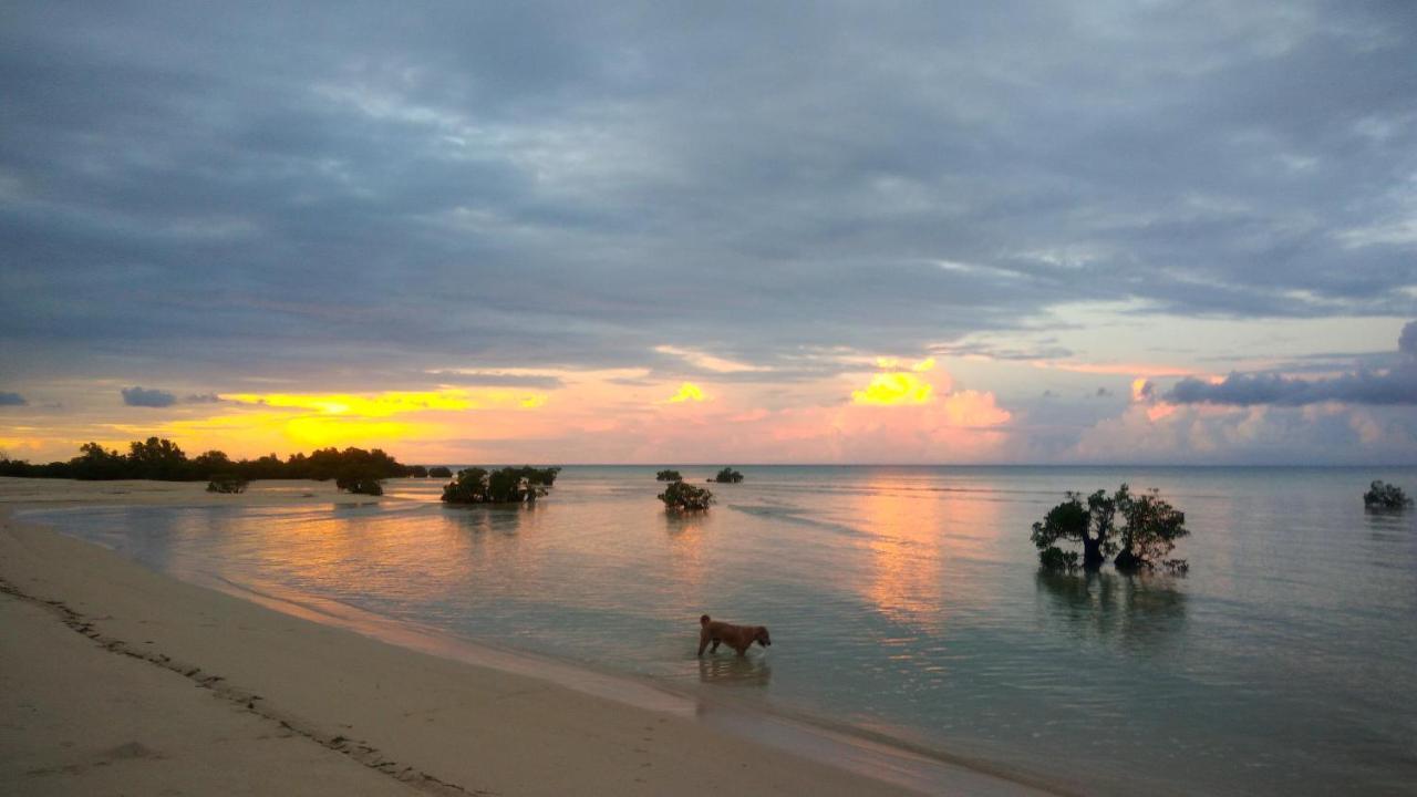 Ecoresort Sumba Dream Rindi 외부 사진